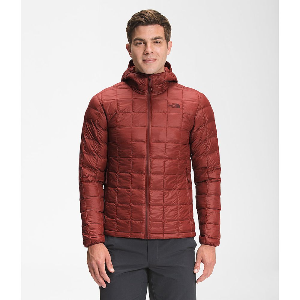 The North Face Hooded Jacket Mens Australia - The North Face Thermoball™ Eco Red (ABN-938417)